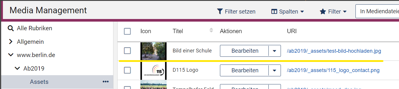 Im MAM wird das gerade hochgeladene Asset an Position 1 angezeigt