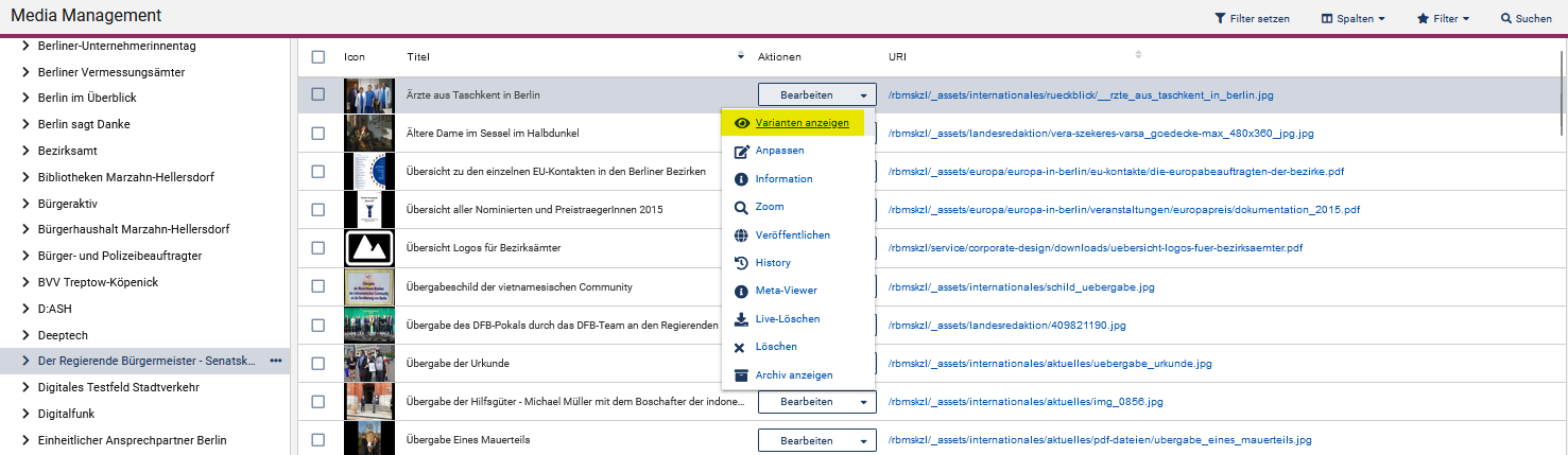 MAM-Ansicht von einer Reihe Bilder, ein Bild ist ausgewählt und die Einstellung wird umgestellt auf "Varianten anzeigen"
