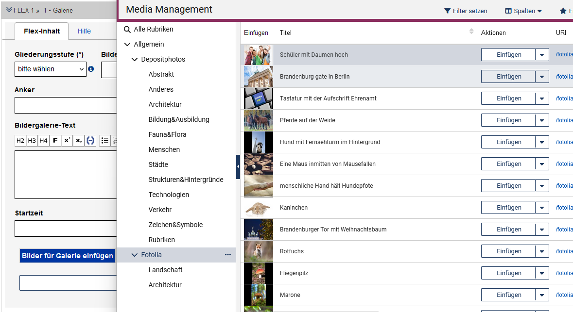 Ein Ausschnitt des Galerie-Moduls im Edit mit dem Button "Bilder für Galerie einfügen" und ein Ausschnitt des MAMs, das Bilder aus der Rubrik "Allgemein" zeigt.