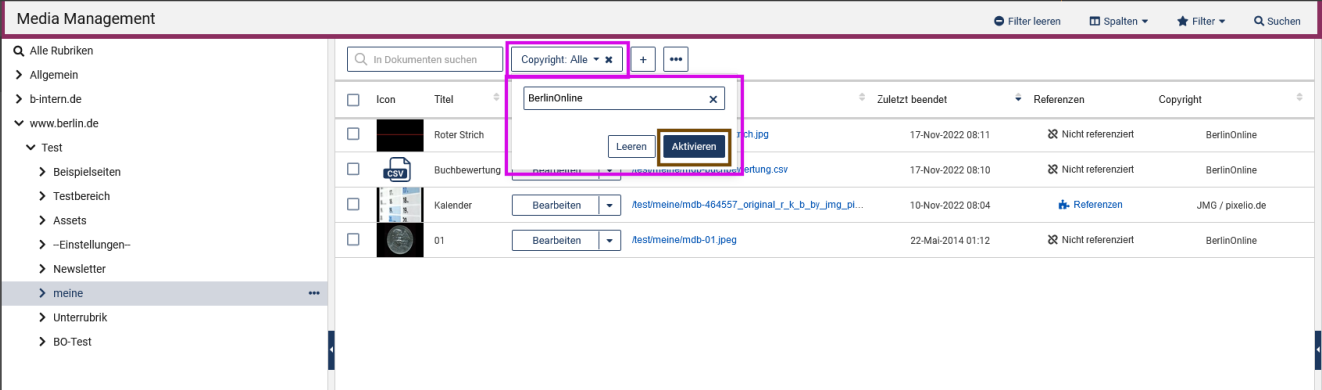 MAM mit Rubrikenbaum links und Assets rechts, über den Assets auf der linken Seite ist das Suchfeld für die Stichwortsuche zu sehen, rechts daneben ist ein Suchfeld für das Copyright zu sehen (pink umrahmt), es ist aufgeklappt und ein Suchwort kann eingegeben werden, mit dem Button "Aktivieren" (braun umrahmt) kann nach dem Suchwort gefiltert werden, zusätzlich ist ein Button "Leeren" zu sehen, um den Filter zurückzusetzen