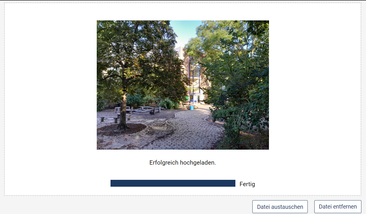Asset erfolgreich hochgeladen: Meldung mit Anzeige des Bildes darüber und einem Fortschrittsbalken auf 100 % darunter