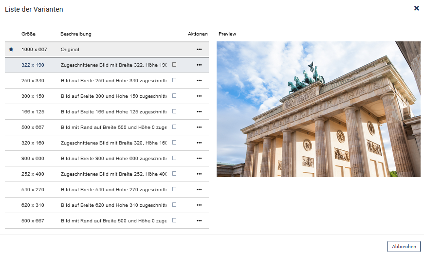 Die Liste aller vorhandenen Varianten eines Bildes ist zu sehen, links steht zuerst die Größe, dann die Beschreibung, gefolgt von einem 3-Punkte Menü für weitere Aktionen zu der Variante, rechts ist immer die Vorschau der angeklickten Variante zu sehen, unten rechts befindet sich der Button "Abbrechen"
