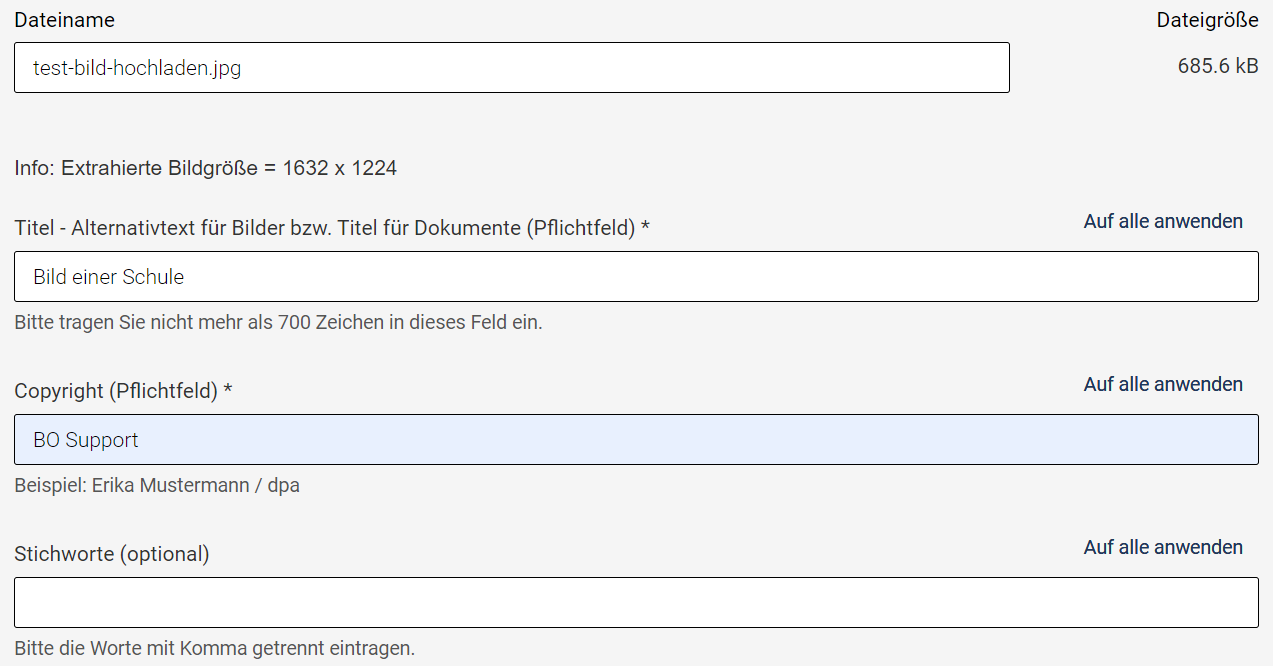 Formular für die Metadaten eines Assets