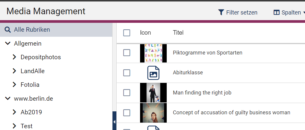 Ausschnitt aus dem MAM mit Rubriken im linken Teil und den Assets im rechten Teil