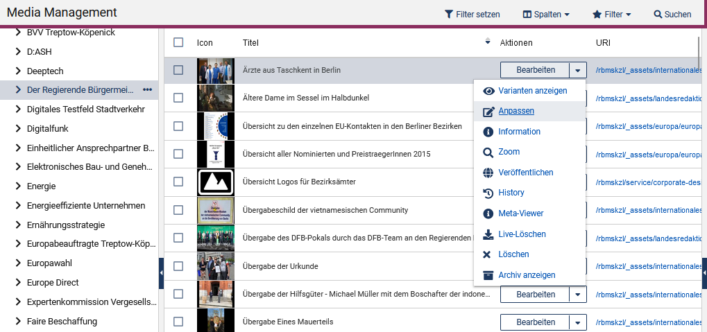 Zu sehen ist eine MAM-Übersicht, in der ein Bild ausgewählt wurde, das Menü neben "Bearbeiten" ist geöffnet und der zweite Punkt "Anpassen" ist hervorgehoben