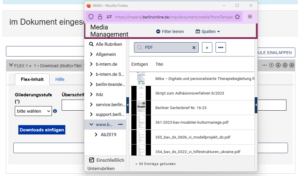 Download-Multi im Edit - Downloads einfügen - Beschreibung im Seitentext