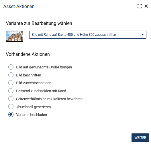 Das Bild in klein ist links oben zu sehen, rechts daneben befindet sich ein Auswahlfeld, wo normalerweise "Original" steht, jetzt aber eine andere Variante gewählt wurde, danach folgen die Aktionen zur Bildbearbeitung, dabei ist "Variante hochladen" ausgewählt, unten rechts befindet sich der Button "Weiter"