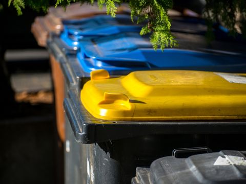 Mülltonnen für Biomüll, Papier und Wertstoffe stehen nebeneinander.