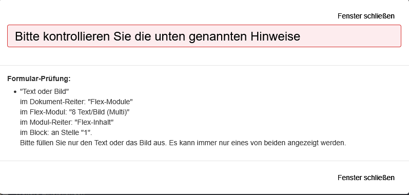 Fehlermeldung: "Bitte kontrollieren Sie die unten genannten Hinweise". Der Hinweistext gibt an, in welchem Reiter und welchem Flex-Modul (Nr.) sowohl Bild als auchText ausgefüllt sind, obwohl nur eins davon angezeigt werden kann.