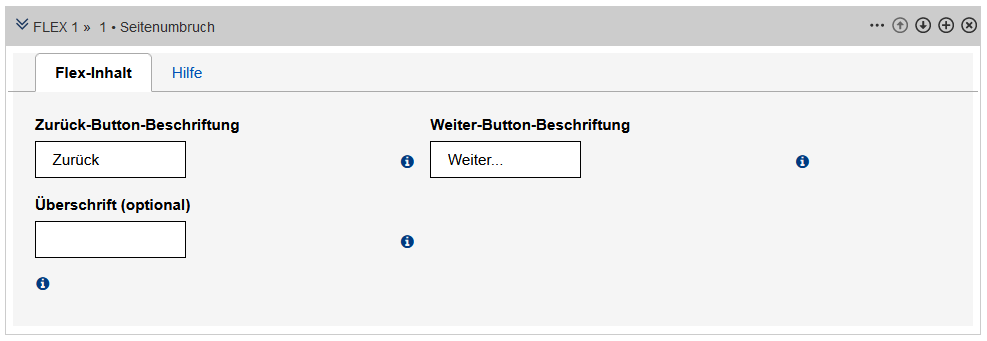 Formular zur Einstellung eines Seitenumbruchs im fertigen Formular