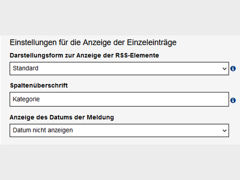 Ausschnitt aus dem Edit für die RSS-Liste mit Darstellungsform, Spaltenüberschrift und Option für Datumsanzeige.