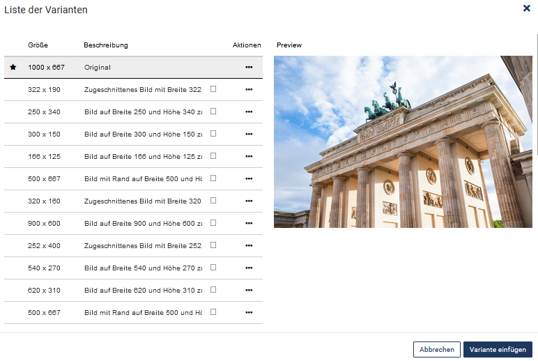 Fenster zum "Variante auswählen", viele Varianten mit unterschiedlichen Benennungen sind links zu sehen, rechts gibt es eine Vorschau der Variante, unten rechts befinden sich die Buttons "Abbrechen" und "Variante einfügen"