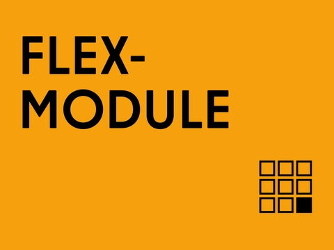 Flex-Module Teaserbild