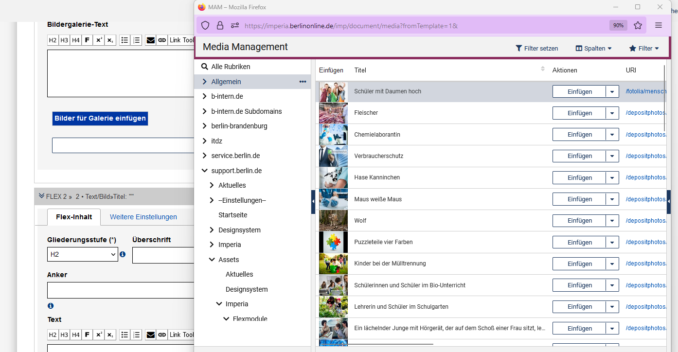 Ein Ausschnitt des Galerie-Moduls im Edit mit dem Button "Bilder für Galerie einfügen" und ein Ausschnitt des MAMs, das Bilder aus der Rubrik "Allgemein" zeigt.