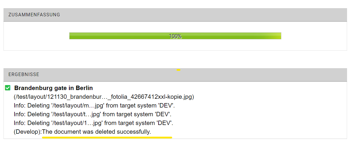 Asset erfolgreich gelöscht, Fortschrittsbalken ist grün und zu 100 % gefüllt