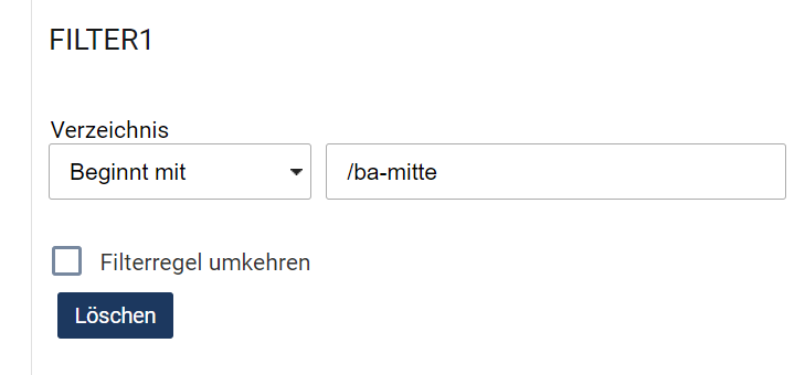 Filter definieren: Internet